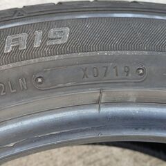 ダンロップ夏タイヤルマンＶ　２４５／４５Ｒ１９　２本の画像