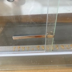 横幅90ケージの画像