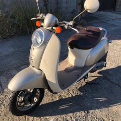 ホンダ　スクーピー　書類付実働ベース車の画像