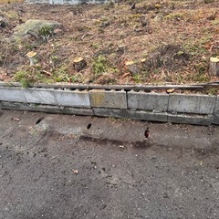 ブロック　の画像