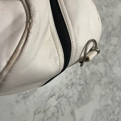 ティゴラゴルフバックの画像