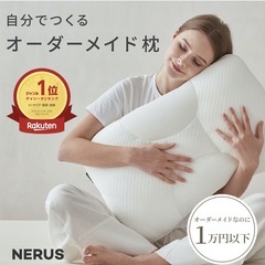 NERUS  自分でつくるオーダーメイド枕　美品の画像