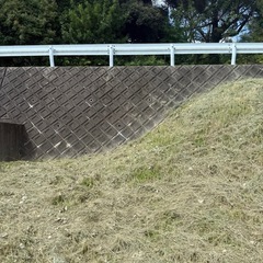 造園のお仕事です！の画像