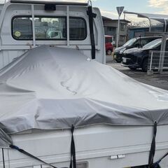 軽トラキャリー【MT】　車検付き低走行の画像