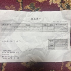 ロケット団の栄光アタッシュケースセット
の画像