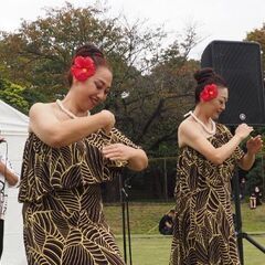 フラダンス体験レッスン開催　12月11日(木)の画像