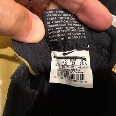 未使用品　NIKE ZOOM AIR ナイキ ズームエアの画像