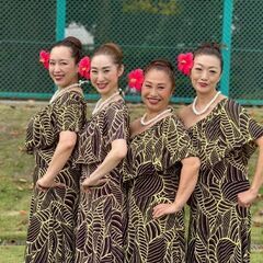 フラダンス体験レッスン開催　12月11日(木)の画像