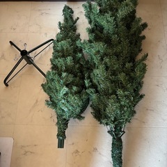 クリスマスツリーの画像