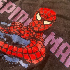 スパイダーマンＴ130の画像