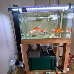 60センチ水槽のセットです。の画像