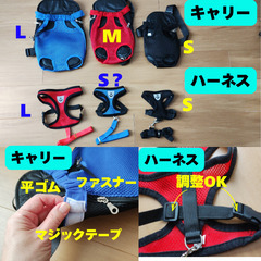 【1】ペット用リュック型キャリーバッグ／ハーネス　小型犬・猫におすすめの画像