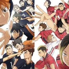 【緊急応募】バレーボールの実施について（2名募集）