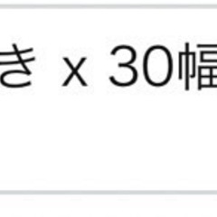 野球用収納バッグと通常バッグの画像