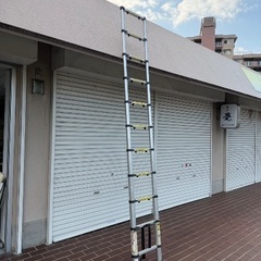 伸びるハシゴの画像