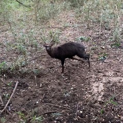 狩猟体験の画像