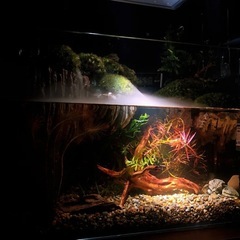 水槽 オーダー品の画像