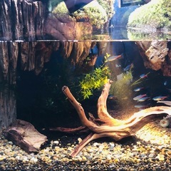 水槽 オーダー品の画像