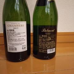 スパークリングワイン フルボトル 2本 750mlの画像