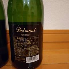 スパークリングワイン フルボトル 2本 750mlの画像