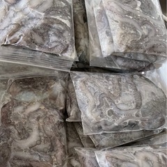 釣り餌　シガヤーダコ　打ち込み　1kg〜の画像