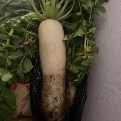 野菜です　交換希望　の画像