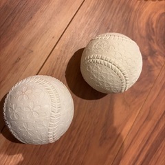 野球道具一式(バット2本、バットのケース2個、グローブ1個、グローブのケース、硬式用ボール2個)の画像