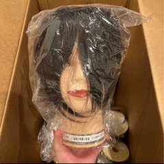 カットウィッグ【まとめ売り】の画像