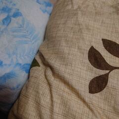 ⚠️急募⚠️★寝具★の画像