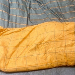 🉐激安‼️ダブルサイズの羽毛布団❣️の画像