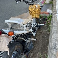 HONDA ズーマー 125cc　ターボ カスタム多数　車両交換可の画像