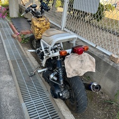 HONDA ズーマー 125cc　ターボ カスタム多数　車両交換可の画像