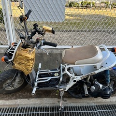 HONDA ズーマー 125cc　ターボ カスタム多数　車両交換可の画像