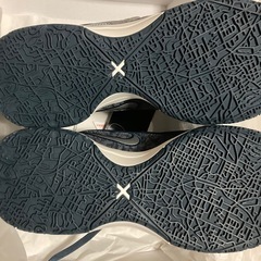 新品未使用ナイキ　ズームレブロン　ネクストジェン　26.5cm ネイビー  箱付きの画像