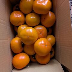 干し柿　10個の画像