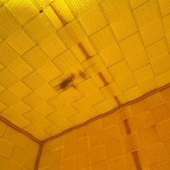 【お話中】カラーボックス カゴ3個セットの画像