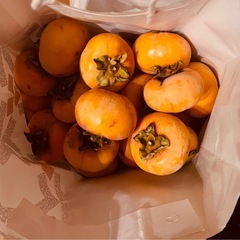 柿60個の画像