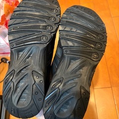 キッズ瞬足スニーカーの画像