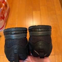 キッズ瞬足スニーカーの画像