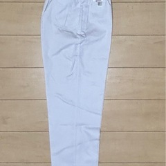 白衣上下ズボン（レディース）の画像