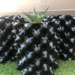 【新品】通気性抜群鉢×5鉢の画像