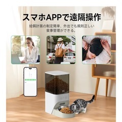 キャットフード　自動給餌器の画像