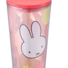 ミッフィ　スターバックスの画像