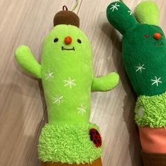 ブーツキーパー（サボテン）の画像