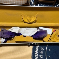 丈夫な箱、元々三味線を入れたバッグらしいの画像