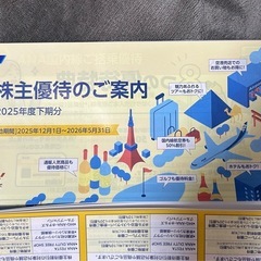 ★2027年5月31日まで★ANA優待券×3枚、冊子1冊 全日空 株主優待 1枚のみ可 の画像