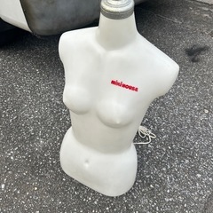 電飾トルソーの画像