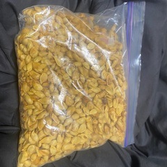 柑橘系の種の画像