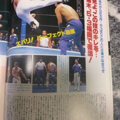 週刊プロレス平成5年4月増刊号の画像