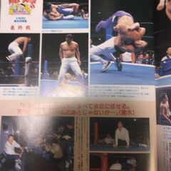 週刊プロレス平成5年4月増刊号の画像